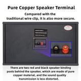 CCF Trapezoid 6.5 inch Karaoke Speaker Pair-12