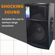 CCF 15 inch Professional Karaoke Speaker 1 Pack-3