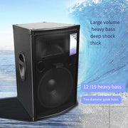 CCF 15 inch Professional Karaoke Speaker 1 Pack-2
