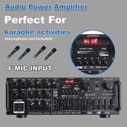 CCF 5000W 2CH 10-Band EQ Amplifier-4