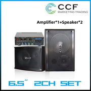 CCF 6.5 inch 2CH Karaoke Speaker Set with Mic-2