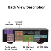 CCF 6.5 inch 2CH Karaoke Speaker Set No Mic-6