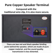 CCF 5000W 2CH Karaoke Set with 6.5 inch Speakers-8